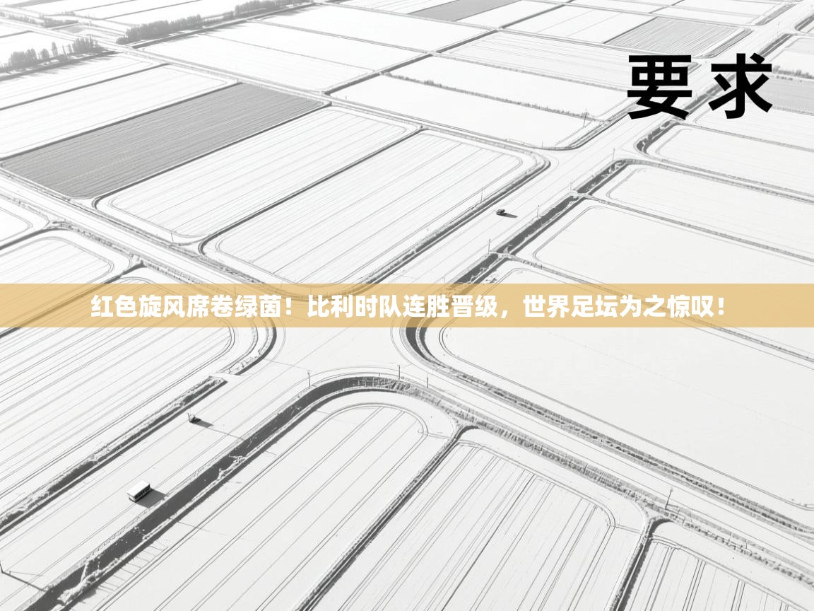 红色旋风席卷绿茵!比利时队连胜晋级,世界足坛为之惊叹! 第2张