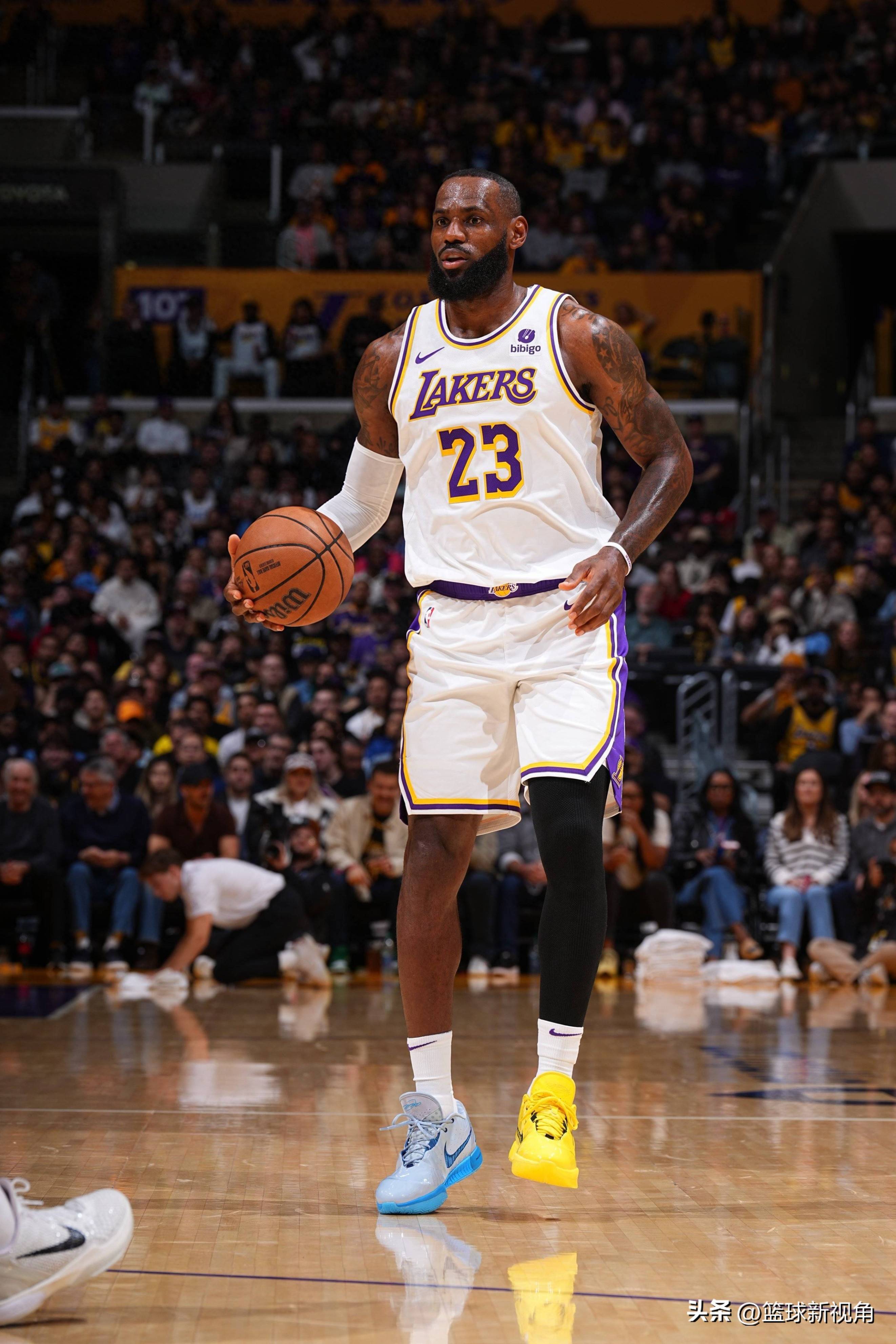 篮球职业联赛的明星球员亮相